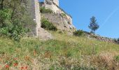 Tocht Stappen Boulbon - le château de Boulbon - Photo 11