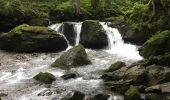 Tour Wandern Montriond - Lac de Montrillon  sous la pluie - Photo 8