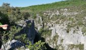 Tour Wandern Oppedette - gorges d oppedette - Photo 6