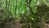 Tocht Stappen Lauroux - Labeil - Forêt de l'Escandorgue - Photo 14