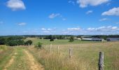 Tocht Stappen Meix-devant-Virton - rando gerouville 6-07-2023 - Photo 7