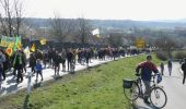 Tour Zu Fuß Gemmrigheim - Gemmrigheimer Rundwanderweg - Photo 5