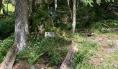 Trail Walking Rehaupal - Le trou de l’enfer  - Photo 4