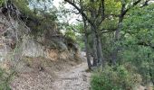 Tour Wandern Vaugines - Luberon Vaugines Cucuron  - Photo 12