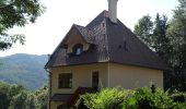 Tour Zu Fuß Gemeinde Breitenstein - Breitenstein - Klamm - Photo 10