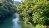 Excursión Senderismo Montauroux - Les gorges de la Siagne et les chênes pluricentenaires - Photo 8