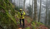 Trail Walking Rombach-le-Franc - Col de Fouchy  - Photo 13