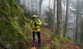 Tour Wandern Deutsch-Rumbach - Col de Fouchy  - Photo 13