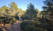 Trail Walking Quarante - Quarante,  la croix de juillet. - Photo 1