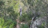 Tour Wandern Boadella i les Escaules - Embasement Lac Darnius - Photo 19