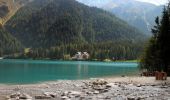 Percorso A piedi Rasun - Anterselva - Seerundweg - Photo 3