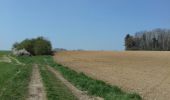 Tour Wandern Tinlot - Ramelot - Strée  - Photo 1