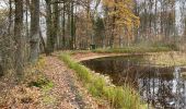 Tocht Stappen Hasselt - Herkenrode 21,6 km - Photo 10