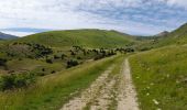 Tour Wandern Lus-la-Croix-Haute - Col de Chante - Jajere Lus la Croix Haute - Photo 2