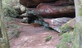 Randonnée Marche Münchweiler an der Rodalb - Felsenwald - Photo 7