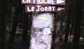 Randonnée Marche Haut Valromey - Le Jorat  - Brénod  - Photo 8