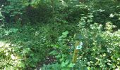 Trail Walking Ciney - Conjoux 300724 - Photo 5