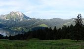 Trail On foot Innerthal - Innerthal - Hinter Bruch - Photo 4
