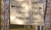 Randonnée A pied Gomadingen - Ruoffseck-Gönningen - Photo 9