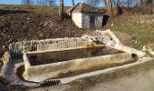 Randonnée Marche Ornans - la brème-ornans - Photo 18