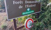 Randonnée Marche Mandelieu-la-Napoule - Col des trois termes Estérel 83 - Photo 4