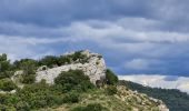 Excursión A pie Solliès-Ville - sollies matheron coudon - Photo 4