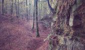 Trail On foot Habscht - Mirador - Photo 6