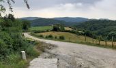 Randonnée Marche Erro - viscarret  - larrasoana - Photo 3