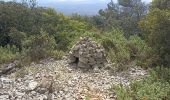 Trail Walking Cotignac - sommet du Bessillon - Photo 4
