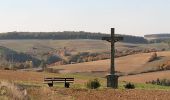 Tocht Te voet Schonungen - Apfelweg - Photo 6