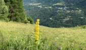 Trail Walking Vallouise-Pelvoux - Puy aillaud  - Photo 2