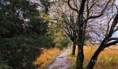 Tour Wandern Weismes - La grande ronde des Fagnes   - Photo 5