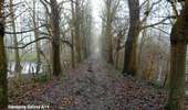 Tocht Stappen Hannuit - moxhe reco 12 24 - Photo 10