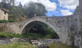 Excursión Senderismo Saint-Georges-en-Couzan - Randonnée au dessus de Vaux - Photo 16