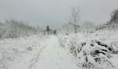 Trail Walking Tenneville - rando wyompont 11-01-2026 - Photo 9
