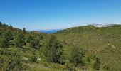 Tocht Stappen Cassis - les crêtes  de La Ciotat - Photo 9