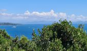 Tour Wandern Ramatuelle - bonne terrasse Camarat - Photo 4