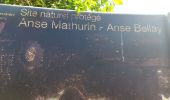 Randonnée Marche Anse d'Arlet - Galuchat vers Anse à L Ane - Photo 9