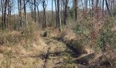 Trail Walking Durbuy - Heyd avec le chemin des crêtes  - Photo 1