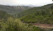 Trail Walking Roquebrune-sur-Argens - LES ISSAMBRES - LE VALLON DE LA GAILLARDE - Photo 18