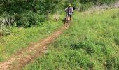 Tocht Mountainbike Montsalès - Monsales vtt - Photo 2