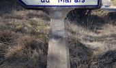 Trail Walking Murol - 2020-02-23 12:44:15 Chronomètre - Photo 5