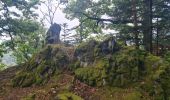 Trail Walking Rombach-le-Franc - Col de Schlingoutte - Photo 1