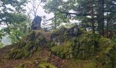 Tocht Stappen Rombach-le-Franc - Col de Schlingoutte - Photo 1