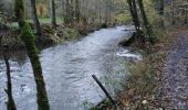 Randonnée Marche Chimay - les sarrasins - Photo 1