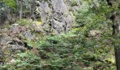 Trail Walking Jalhay -  Boucle de Charneux 17 Km  - Photo 18