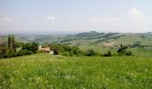 Tocht Te voet Leutschach an der Weinstraße - Glanzer Weintour - Photo 2