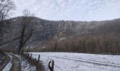 Excursión Senderismo Vaire - vaire le grand  - Photo 13