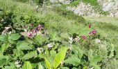 Tocht Stappen Vinadio - Lac de Malinvern par vallon Rio freddo - Photo 2