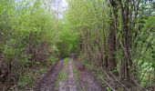 Tocht Stappen Esneux - entre Mery et bois Manant - Photo 8